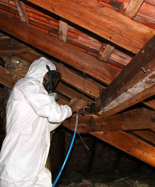 Travaux de charpente dans l'Hérault (34)